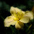 DSCF9336.JPG