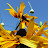 DSCF9441.JPG