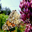 DSCF9346.JPG