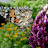 DSCF9347.JPG