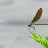 DSCF9471.JPG