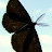 DSCF9449.JPG