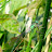 DSCF9505.JPG
