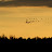 DSCF9761.JPG