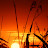 DSCF9793.JPG