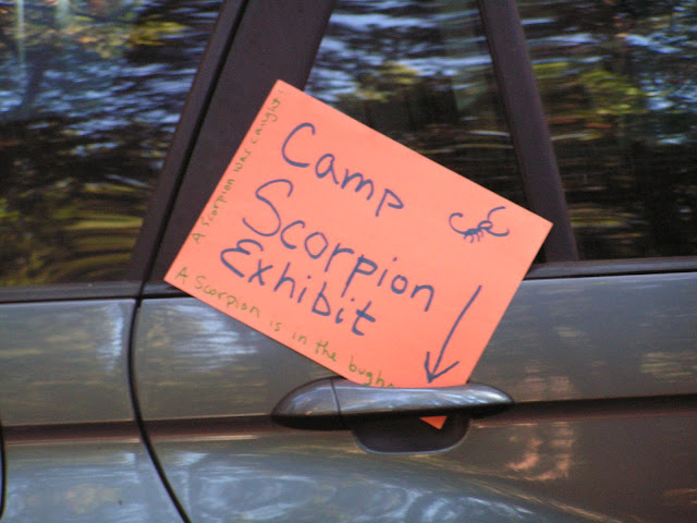 Camp Scorpion