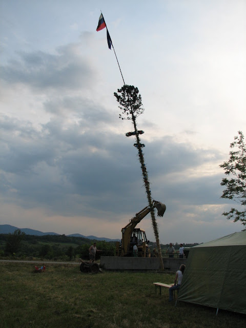 IMG_6440.JPG