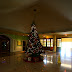 IMG_7817.JPG