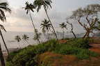 DSC_0427.JPG