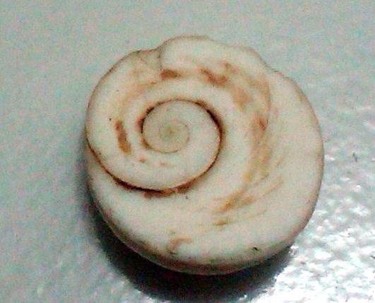 [IMG001262011051910123.jpg]