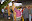 Imagem 039.jpg