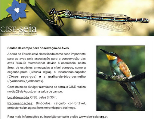 29 agosto - saída verão aves 09.jpg