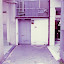 IMGP0366.JPG