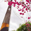 IMGP1222.JPG