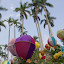 IMGP2316.JPG