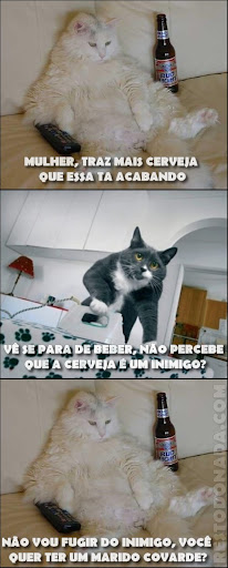 http://lh3.ggpht.com/_YpOh9wQSPU8/TMSWJFrC9GI/AAAAAAAACZY/K0trvPfTtVE/cat.jpg