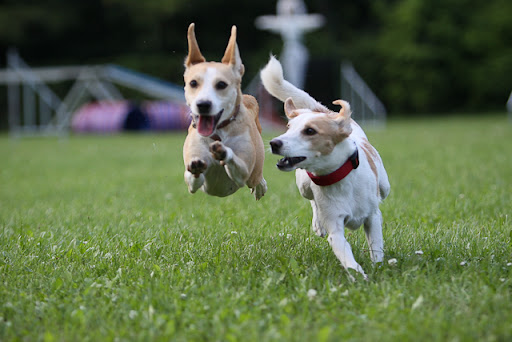 20090823-IMG_4324.jpg