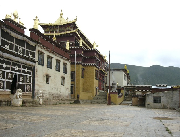 [P1080428[2].jpg]