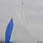 P4150019_edited.JPG