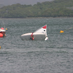 IMG_7949.JPG