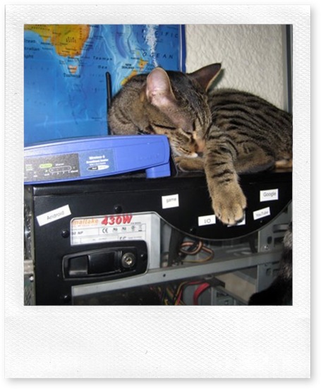 al-gato-le-encanta-dormir-encima-de-mi-pc-1251750353_full550 al-gato-le-encanta-dormir-encima-de-mi-pc-1251750353_full550