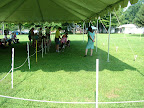 DSCF1039.JPG