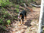 DSCF0919.JPG