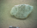 image_00024.jpg