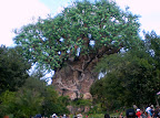 CIMG0122.JPG