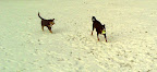 IMAGE_009.jpg