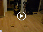 CIMG0019.AVI
