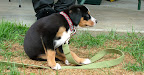 DSCF0492.JPG