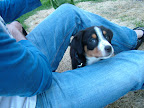 DSCF0506.JPG