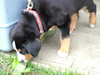 DSCF0500.JPG
