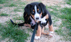 DSCF0510.JPG