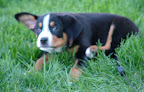 DSCF0516.JPG