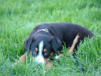 DSCF0517.JPG