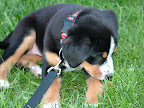 DSCF0532.JPG