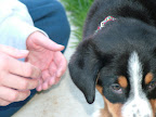 DSCF0525.JPG