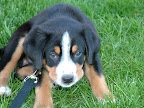 DSCF0531.JPG