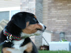 DSCF0537.JPG