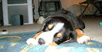 DSCF0541.JPG