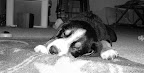 DSCF0542.JPG