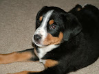 DSCF0551.JPG