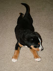 DSCF0549.JPG