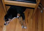 DSCF1417.JPG