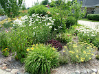 DSCF1465.JPG