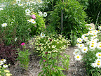 DSCF1467.JPG