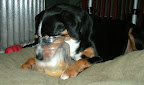DSCF1547.JPG