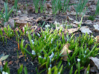DSCF1571.JPG